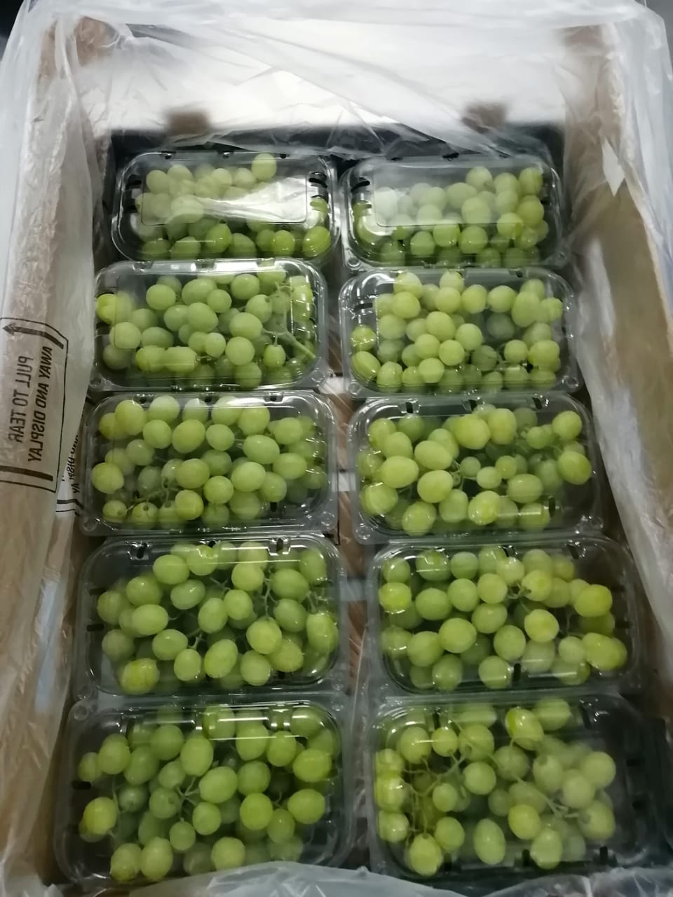 32512 - Offer grapes Egypt