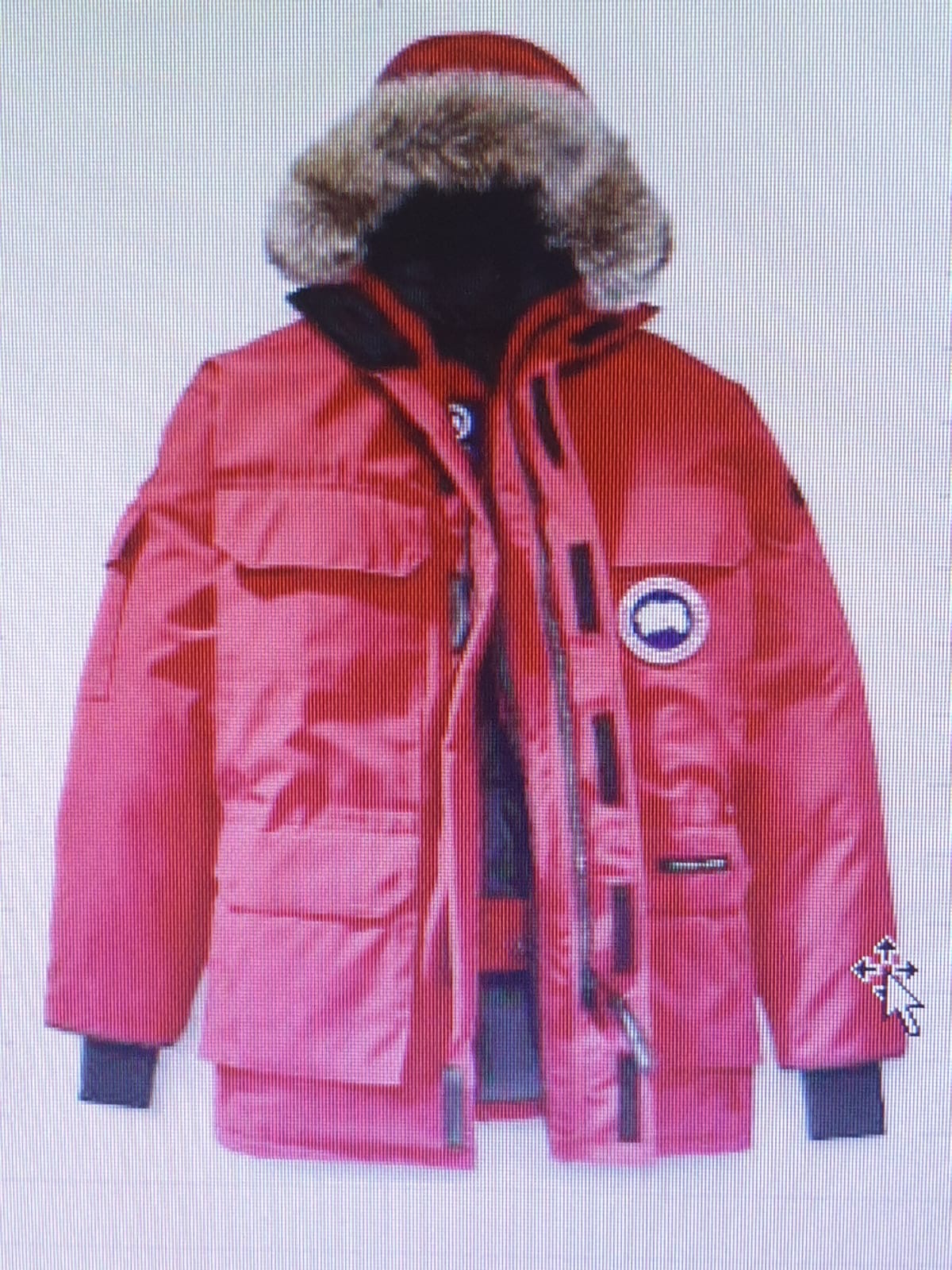 Canada Goose offer