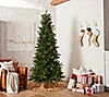 43643 - QVC Christmas Tree Truckloads USA