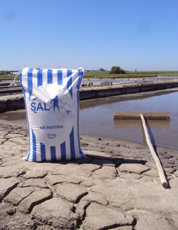 46282 - Sea salt high quality Europe