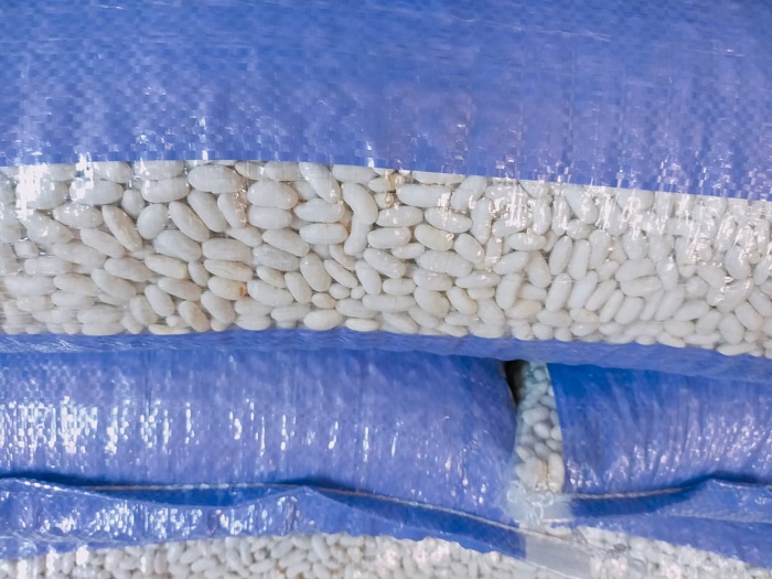 46646 - White beans Egypt