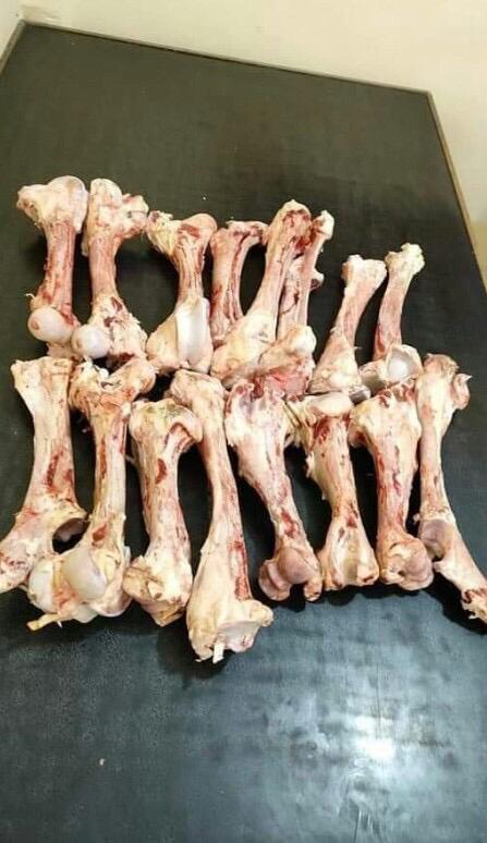 47150 - Frozen Bon for food Egypt