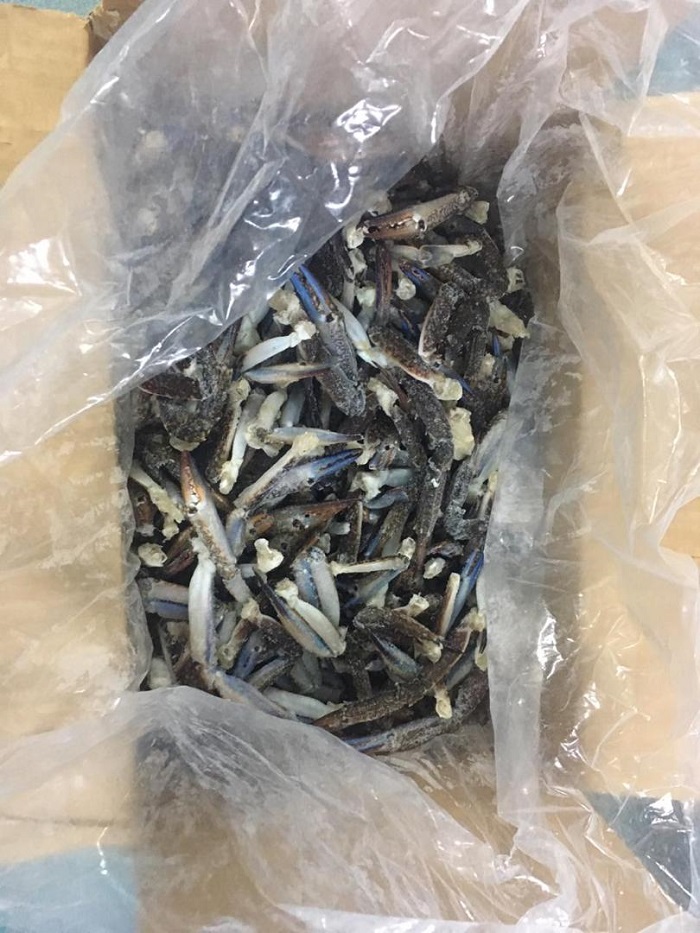 47293 - 1/2 Cut Blue Swimming Crab and Leg Singapore