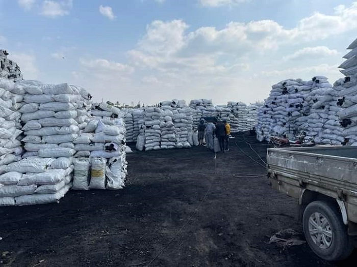 47499 - BBQ coal Egypt