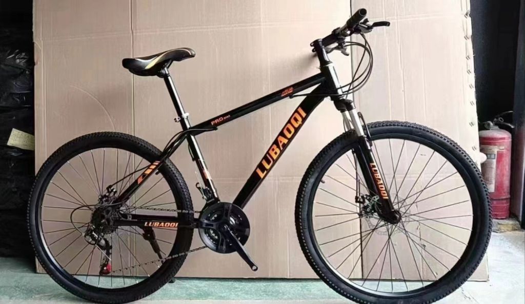 49981 - Bicycle stock offer China