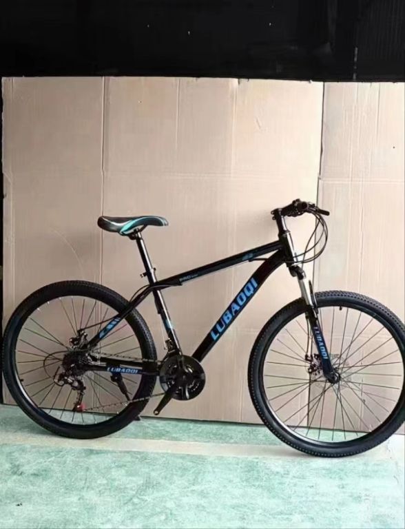 49981 - Bicycle stock offer China