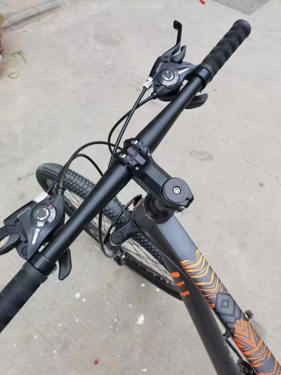 49981 - Bicycle stock offer China