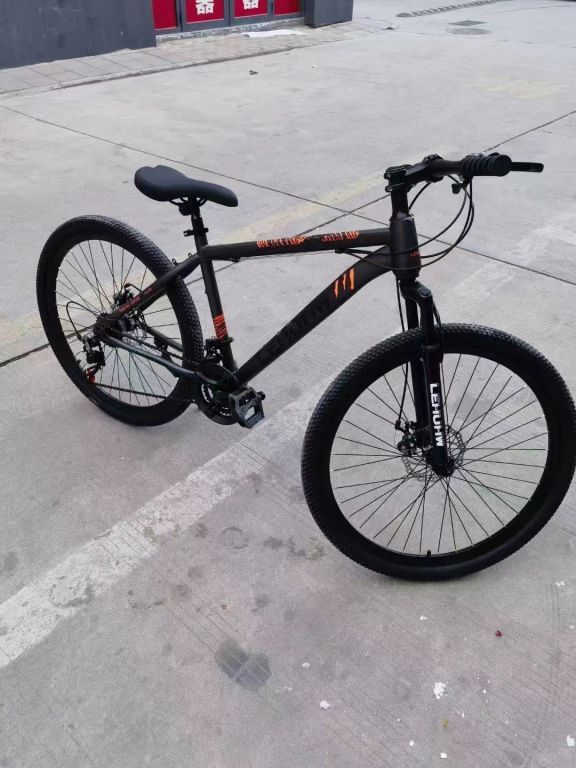 49981 - Bicycle stock offer China