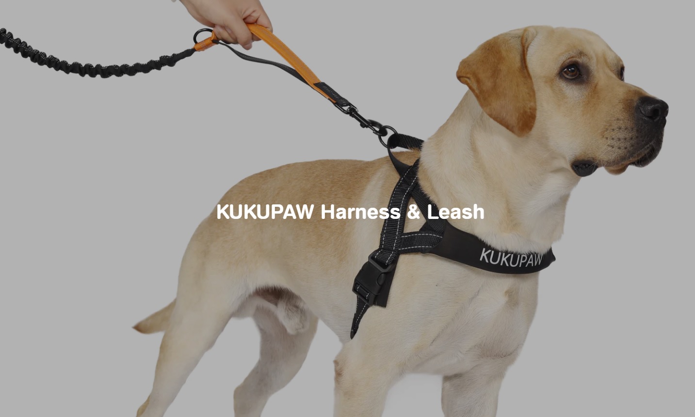 52787 - KUKUPAW Dog Harness & Leash USA