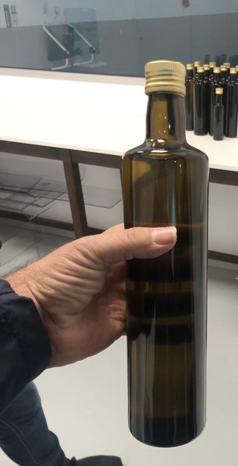 53351 - Offer Extra Virgin Olive Oil Europe